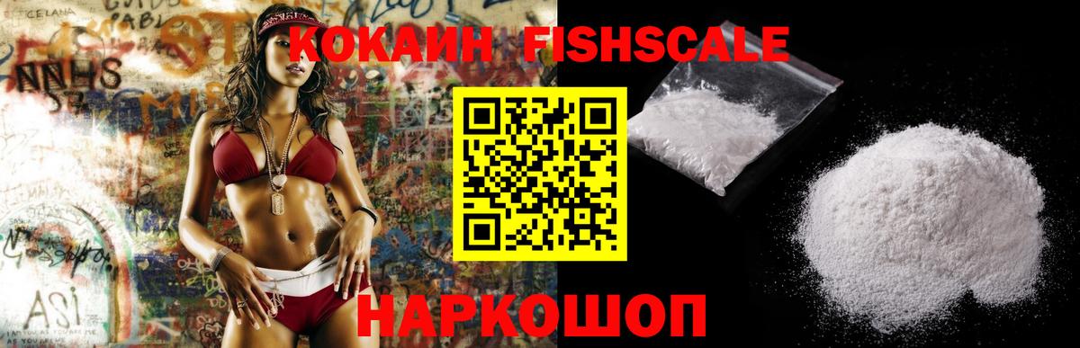 где купить наркоту  Вход с VPN  Елизово  Кокаин Эквадор 
