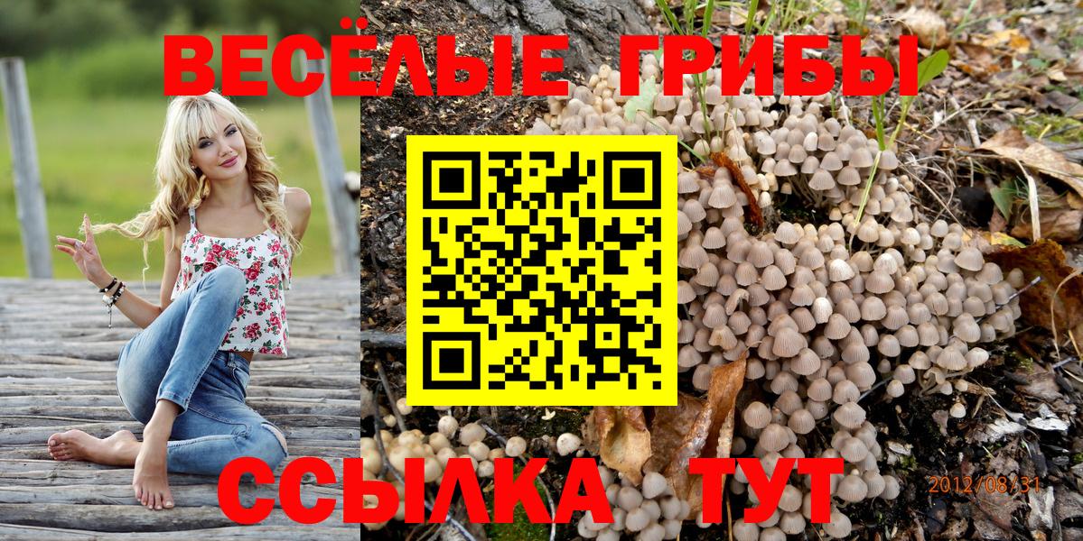 Елизово  Псилоцибиновые грибы прущие грибы  Вход с VPN  Псилоцибиновые грибы Cubensis 