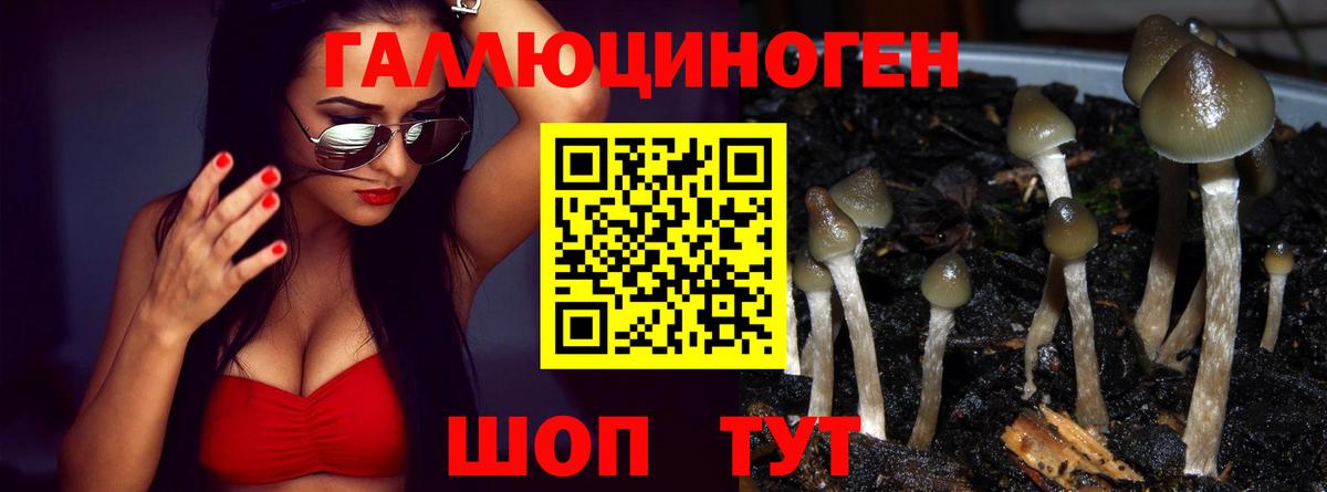 Галлюциногенные грибы прущие грибы Елизово